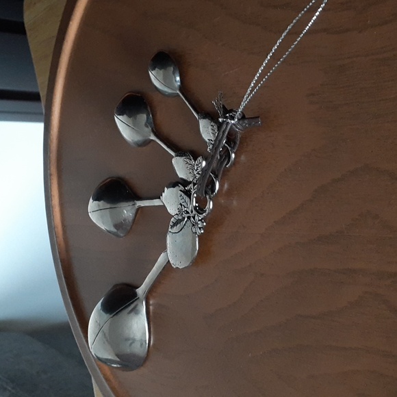 NWOT Ganz Measuring Spoon Set AA102 - Picture 11 of 15